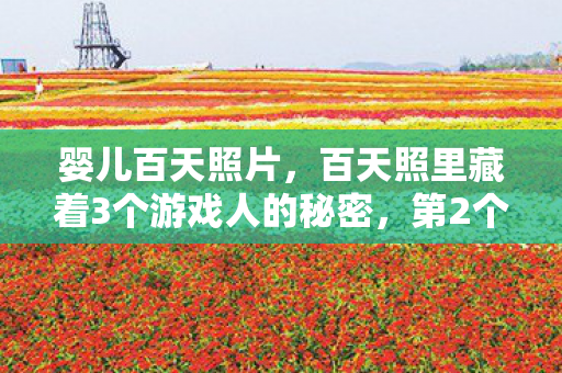 百天照里藏着3个游戏人的秘密图片