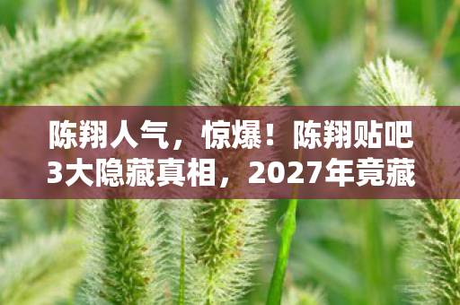 2027年竟藏着这等炸裂反转图片