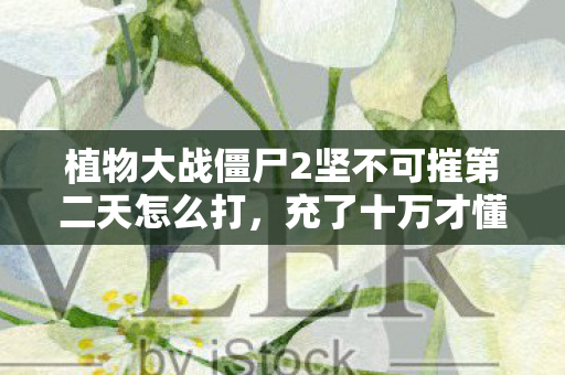 植物大战僵尸2坚不可摧第二天怎么打图片