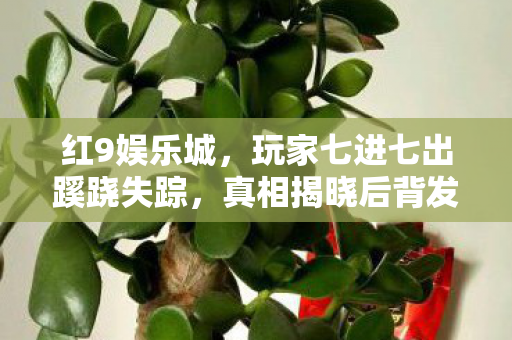 玩家七进七出蹊跷失踪图片
