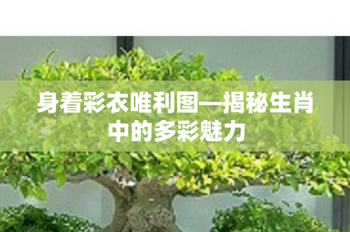身着彩衣唯利图—揭秘生肖中的多彩魅力 身着彩衣唯利图—揭秘生肖中的多彩魅力