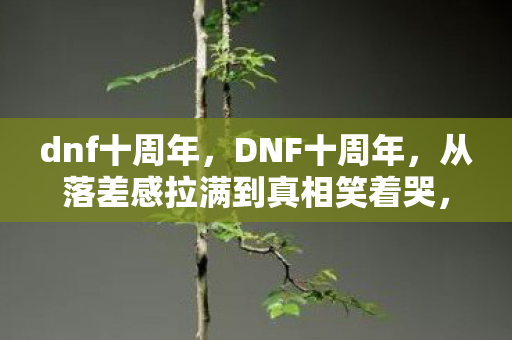 从落差感拉满到真相笑着哭图片