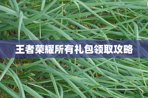 王者荣耀所有礼包领取攻略