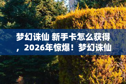 梦幻诛仙 新手卡怎么获得图片