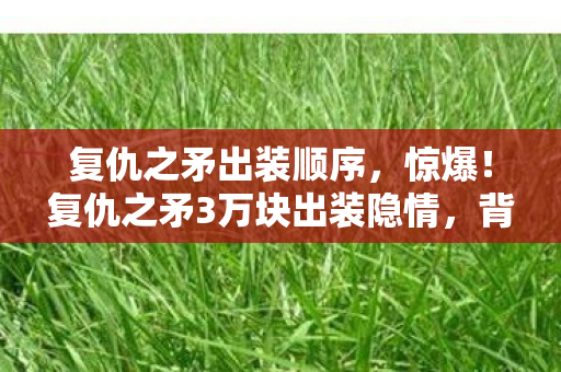 复仇之矛3万块出装隐情图片