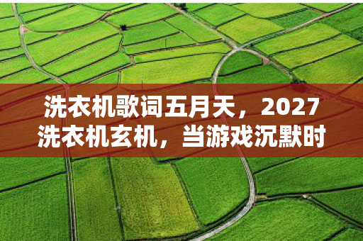 2027洗衣机玄机图片