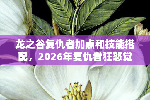 龙之谷复仇者加点和技能搭配图片