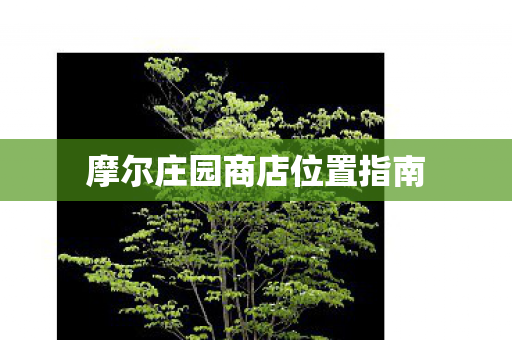 摩尔庄园商店位置指南 摩尔庄园商店位置指南
