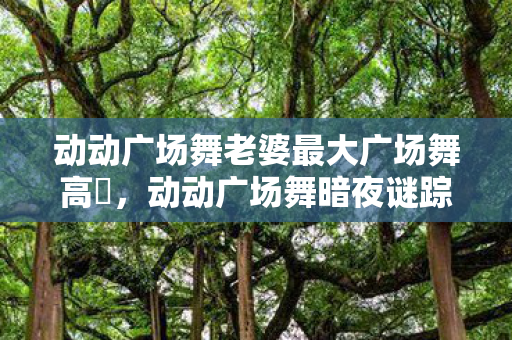 老婆最大指令下的血色悬案与毛骨悚然真相图片