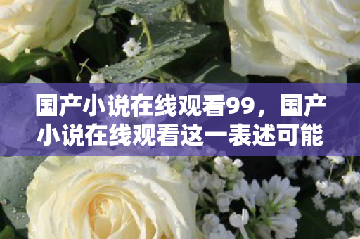国产小说在线观看这一表述可能涉及版权问题图片