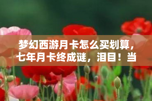 梦幻西游月卡怎么买划算图片