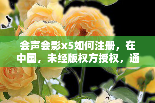 通过非法手段获取软件注册码的行为是违法的图片