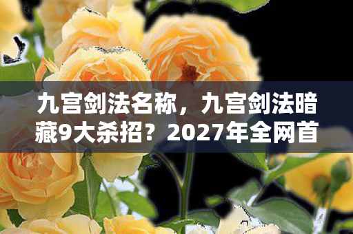 九宫剑法暗藏9大杀招图片