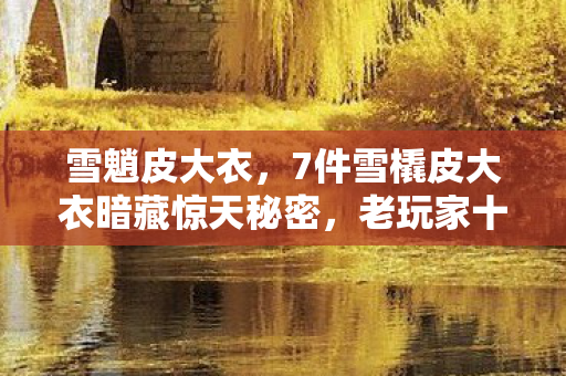 7件雪橇皮大衣暗藏惊天秘密图片