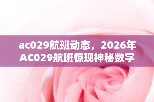 2026年AC029航班惊现神秘数字图片