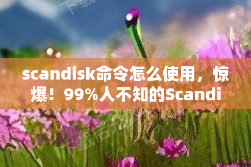 人不知的Scandisk数值黑幕图片