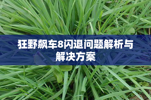 狂野飙车8闪退问题解析与解决方案 狂野飙车8闪退问题解析与解决方案
