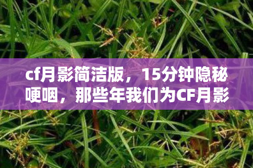 那些年我们为CF月影熬过的通宵图片