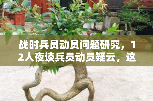 12人夜谈兵员动员疑云图片