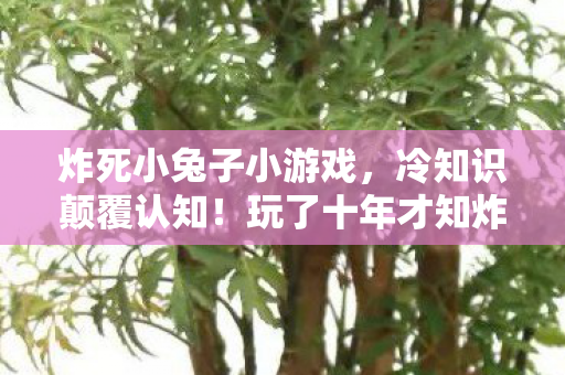 玩了十年才知炸死小兔子竟藏着目瞪口呆的真相图片
