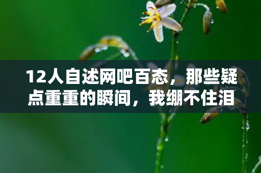 12人自述网吧百态图片