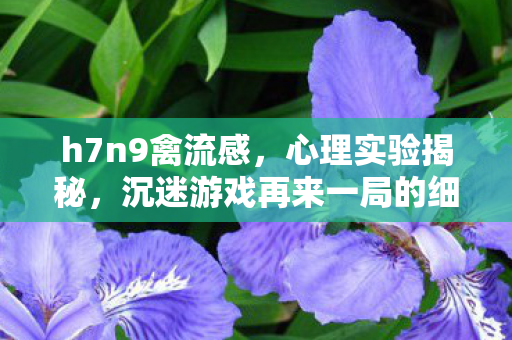 沉迷游戏再来一局的细思极恐真相图片