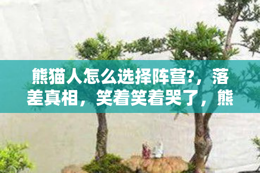熊猫人选阵营竟让我如此分裂图片