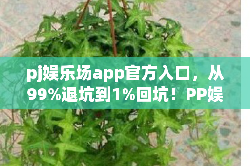 PP娱乐城这波操作让我惊掉下巴图片