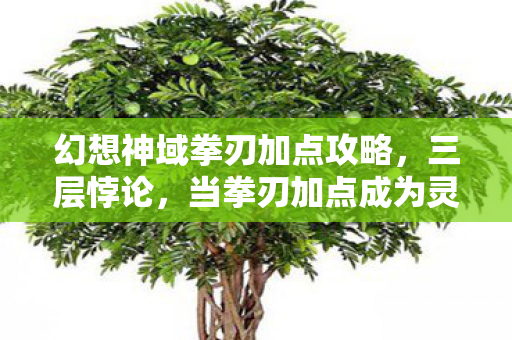 当拳刃加点成为灵魂震颤的存在主义审判图片