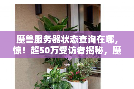 魔兽服务器状态查询在哪图片