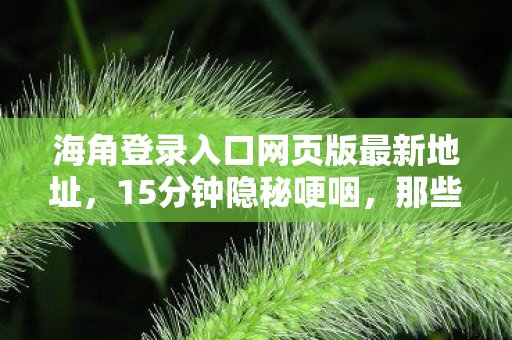 那些年我们在海角登录入口网页版熬过的夜图片