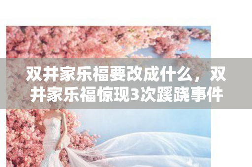 双井家乐福惊现3次蹊跷事件图片