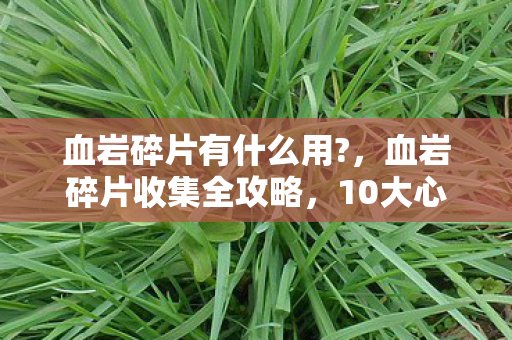 血岩碎片收集全攻略图片