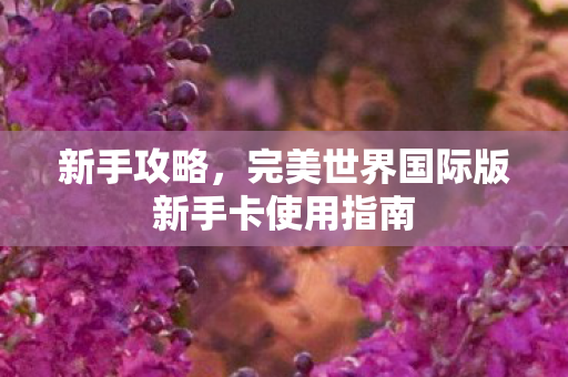 新手攻略，完美世界国际版新手卡使用指南