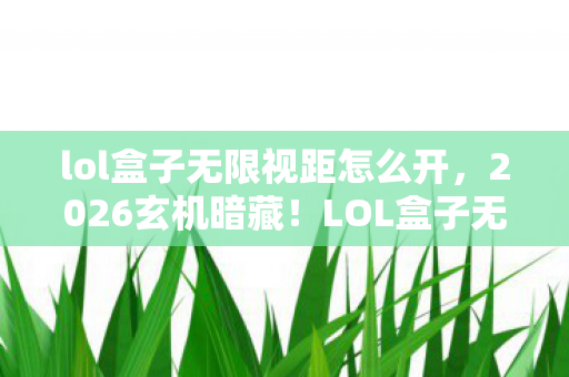 lol盒子无限视距怎么开图片