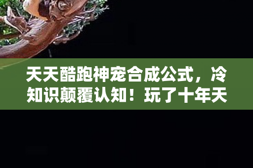 天天酷跑神宠合成公式图片