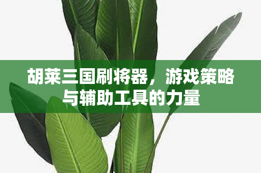胡莱三国刷将器，游戏策略与辅助工具的力量