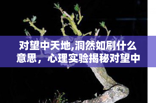 心理实验揭秘对望中天地如何让你沉迷图片