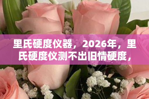里氏硬度仪测不出旧情硬度图片