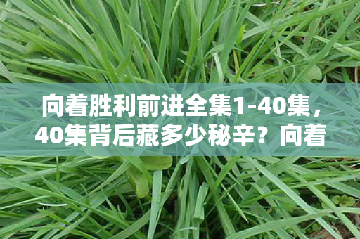向着胜利前进的未解之谜令人心潮难平图片