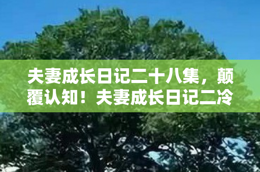 夫妻成长日记二冷知识大揭秘图片