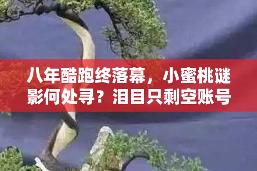 小蜜桃谜影何处寻图片