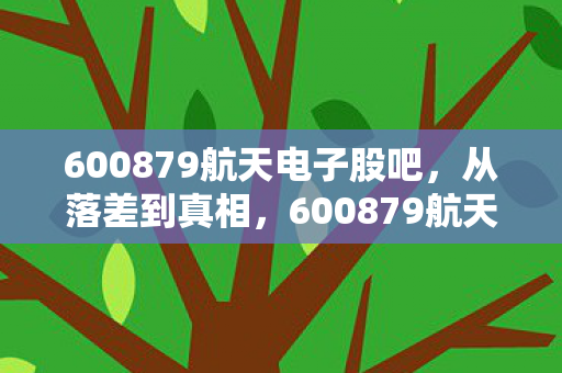 600879航天电子股吧图片