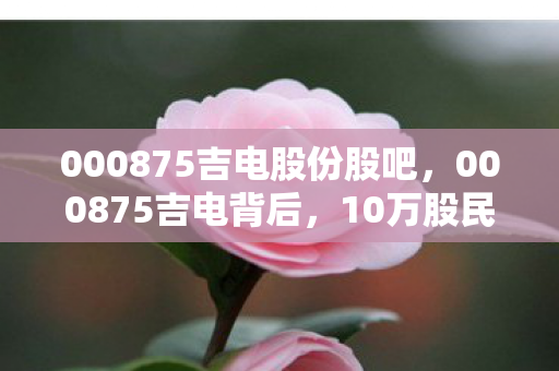 000875吉电股份股吧图片