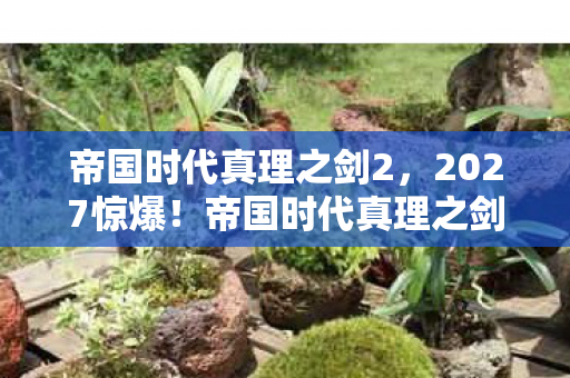 帝国时代真理之剑99图片