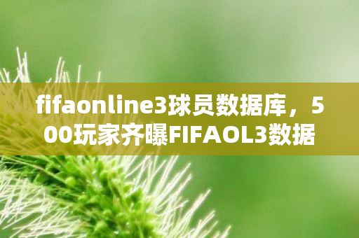 500玩家齐曝FIFAOL3数据库疑点图片