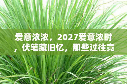 那些过往竟让我鼻子一酸图片