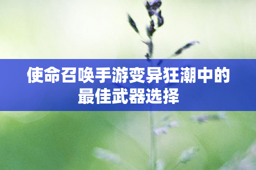使命召唤手游变异狂潮中的最佳武器选择