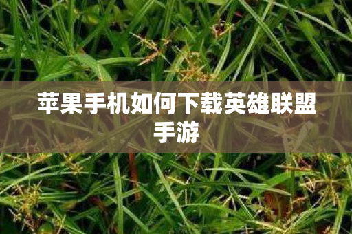 苹果手机如何下载英雄联盟手游 苹果手机如何下载英雄联盟手游