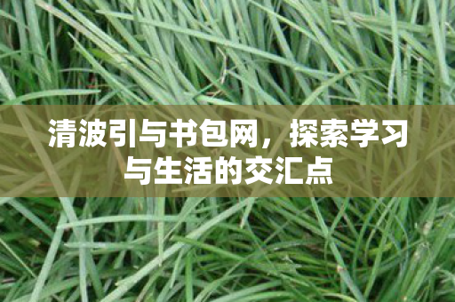 清波引与书包网,探索学习与生活的交汇点 清波引与书包网,探索学习与生活的交汇点
